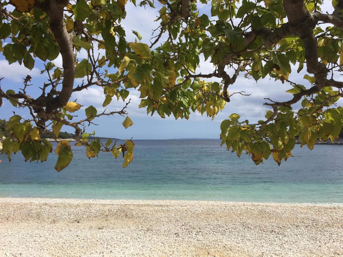 Chelidonia Villa Steni Vala Alonissos Екстериор снимка